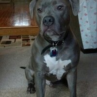 Cody Tabilio (@crt1204) 's Twitter Profile