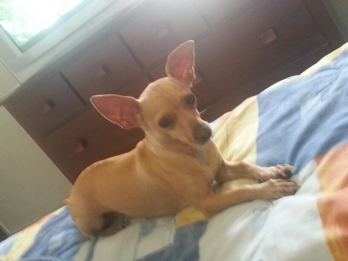 raferti93's profile picture. Soy un amante dee la carrera de las comunicaciones, creo siempre en lo mejor, creo en lo justo y que todo lo que te propongas lo puedes lograr.