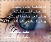 انت وحدك تسكن روحي