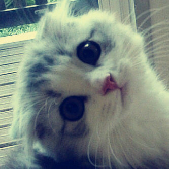 moodz19's profile picture. 