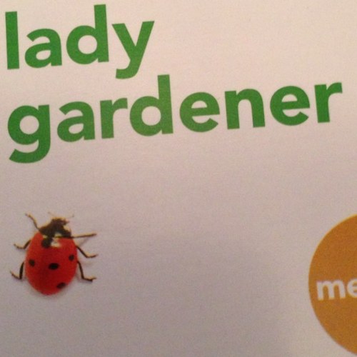 teamstarie's profile picture. 