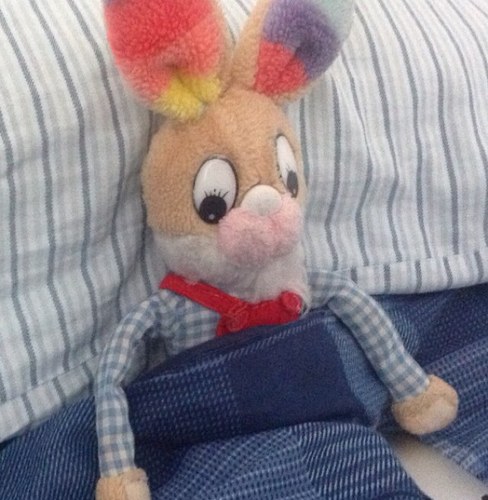 rogertalks's profile picture. I'm the loyal companion of @nickcirc since his birth. I've been with him allways and followed him around the world. I only fly Business/First class!!