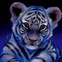 Jonathan Solano - @alexce_solano - Twitter