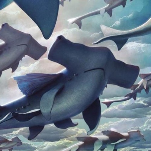 MBerriault's profile picture. 