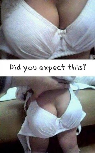 Misleading_Pics's profile picture. 