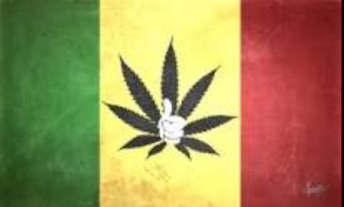 HateBeingLow's profile picture. Whatever your drugs yo go for the gusto Follow if you smoke the herb ✌