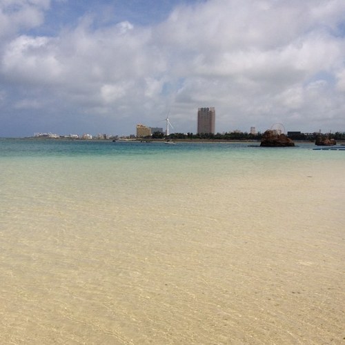 itatako's profile picture. サラリーマンを卒業して独立した。 ネットでお仕事してましたがそんなに世の中甘くない。失敗しました。復活をかけてまたFXでしこしこ稼ぎます。