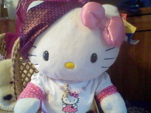 Little Cat in big wurld. I like tuna fish, sushi and watching hello kitty. I live with @mischiefrabbits and was stuffed and born at buildabear in 2008