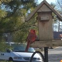 Cathy Kerr - @baldwinkerr - Twitter