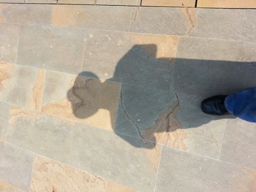 juancas61's profile picture. 