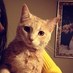 meh~ (@catladybunbun) Twitter profile photo meh~ (@catladybunbun) Twitter profile photo