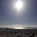 IndianTigerTBird - @EricTidd - Twitter