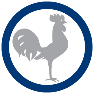 RoosterMedia's profile picture. We are an expansive online media group that provides the real estate scene informative news and compelling stories that drive our market.