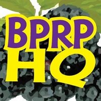 Blackberry Patch RP (@tingling_lemons) 's Twitter Profile Photo