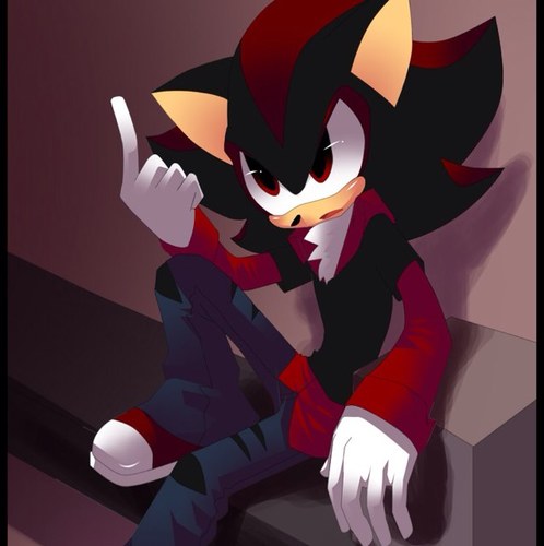 im the coolest hedgehog #taken by @sweetgirl1397 mess with her you dead #sonictwitter #lovemyfollowers #sonicteam i also rap and sing #teamredblood