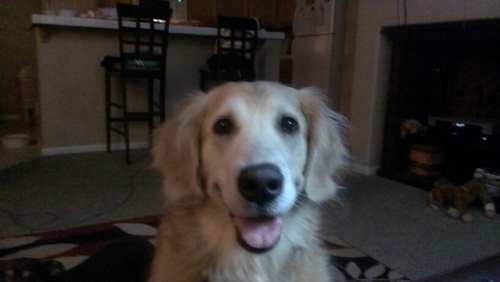 BeachbodyEmily's profile picture. 