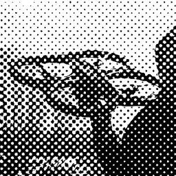 DroneClub's profile picture. London AR Drone Club.
New members welcome. 
Lets Fly.