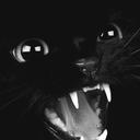 Dan Kristensen - @DanNorway90 - Twitter