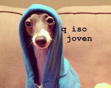 Jovems me sigam
