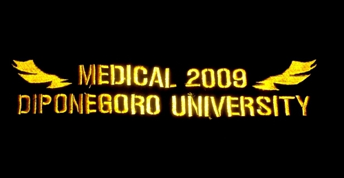 medusaFK2009's profile picture. Kedokteran Undip 2009 #medusa