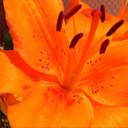 Nancy Milligan - @NancyMilli - Twitter