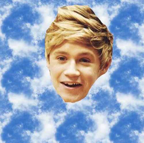 Food♡ Music♡♡ OneDirection♥ Niall♥♥♥ C: Okay. Bye