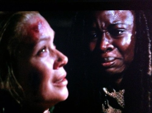 Pain doesnt just go away you make room for it , i lost my sister , my friends , everyone i love , Proud lover of Michonne