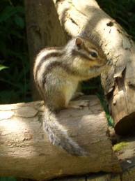 ownineek's profile picture. Follow★Thanks、、^^いっぱい絡んでねっ！