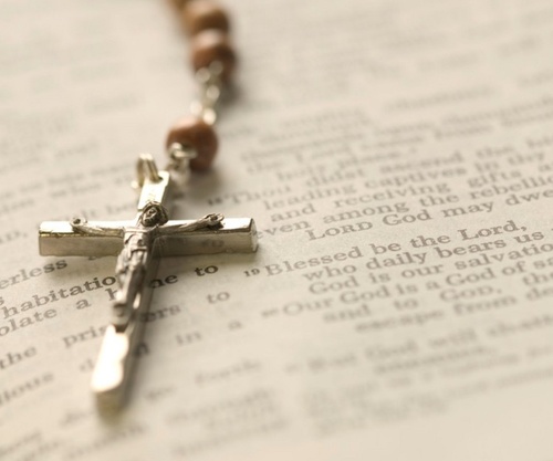 renee29kelly's profile picture. 