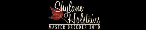 MasterBreeder 2010, We Strive to Breed Stylish yet Functional and High-Producing Profitable Cows, Embryos always Available!  http://t.co/ME9b21OHer