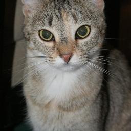 FindingRuby's profile picture. 