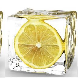 3Lemon the new club fashion