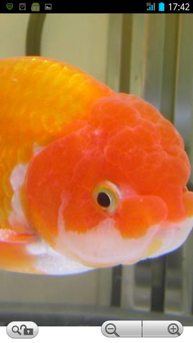 子育て、時々魚釣り 只今 せどり奮闘中