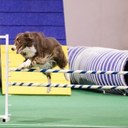 Jenna Austin - @JAustin613 - Twitter