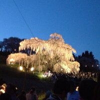 Janus@両面宿儺 (@mr_ff198712) 's Twitter Profile