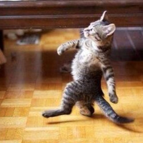 __BeLike's profile picture. _____ be like. We'll fill in the blanks in each tweet ;)