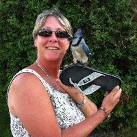 Joanne Poulin (@joannepoulin123) 's Twitter Profile Photo