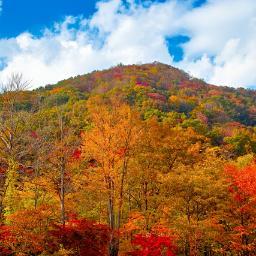 39_Yamamoto's profile picture. 16のときからネットでお小遣い稼ぎをしています。
今は500万円貯めるのを目標に頑張っています。
本を読むことが趣味で最近はよく歴史の本を読んでいます。
フォロワー募集中。相互フォローやっています。
よろしくお願いします。