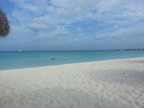 buckleyc21's profile picture. 