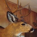 Robert Quillen - @robert_quillen - Twitter