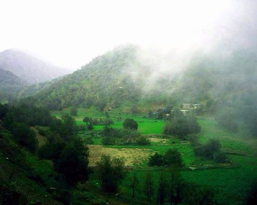 abooodi120's profile picture. تكون حياتنا جميلة بقدر ما نعتبرها جميلة!
وتكون حياتنا تعيسة بقدر ما نراها تعيسة!