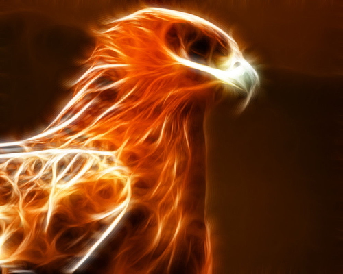 We are all unique individuals with unique gifts. Don't be a follower, be a leader. I follow the best 2000 leaders and unfollow those who descend.