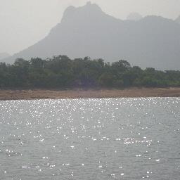 Paapi_Prince's profile picture. 