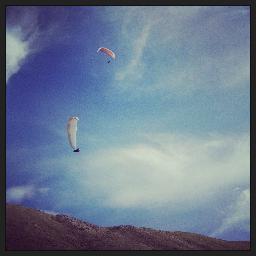 angelabickar's profile picture. 