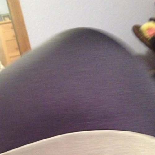 WhyThePoint's profile picture. 