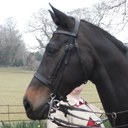 Aimee Foster - @aimeefoster07 - Twitter