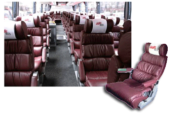 CandidoCandidoa's profile picture. 