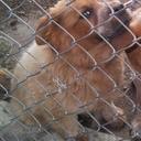 Timothy Shivers - @shivers_timothy - Twitter