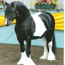 Kate Farmer - @Katef80 - Twitter