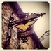 Spread Eagle Sawley (@_thespreadeagle) Twitter profile photo